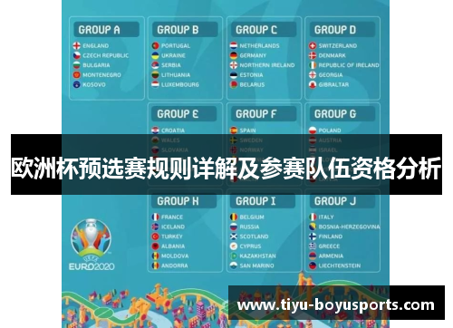 欧洲杯预选赛规则详解及参赛队伍资格分析